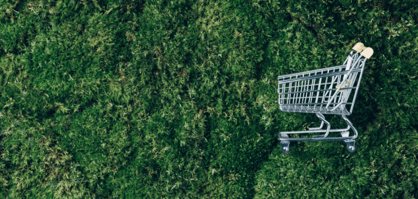 A cover image for sustainable loyalty programs blog article.